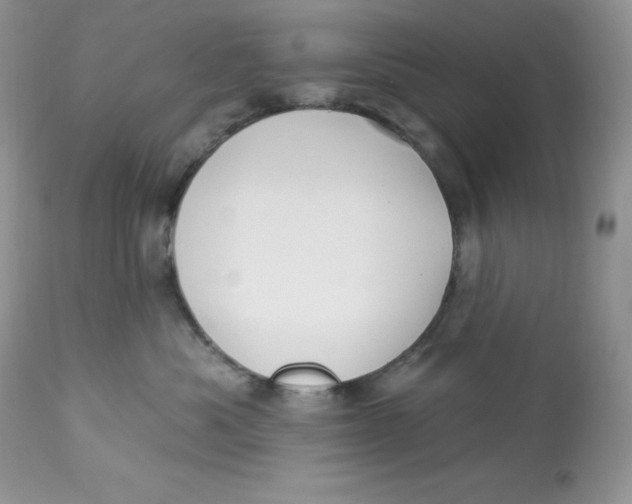 X0000112860525200909111511