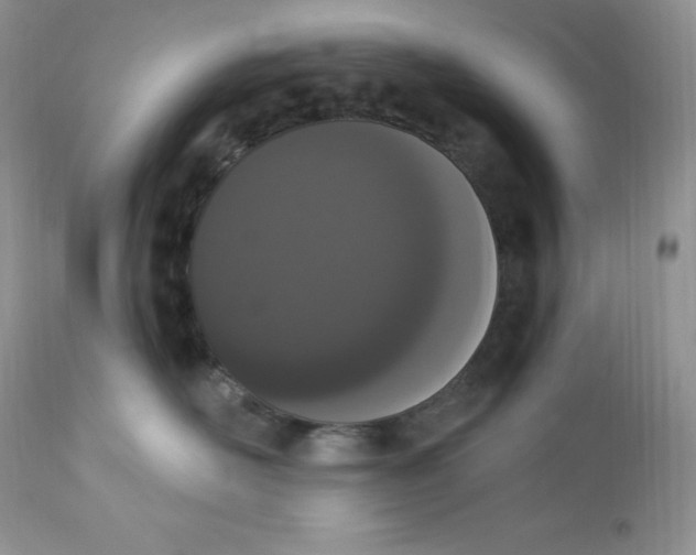 X0000112860526200909111511