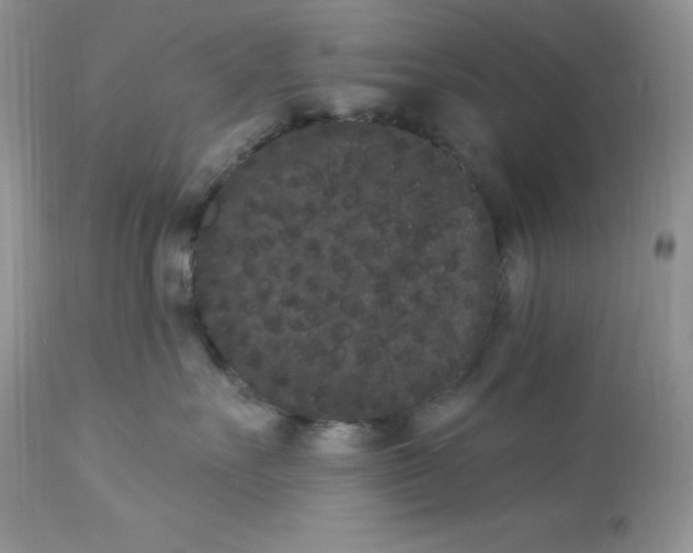 X0000112860527200909111511