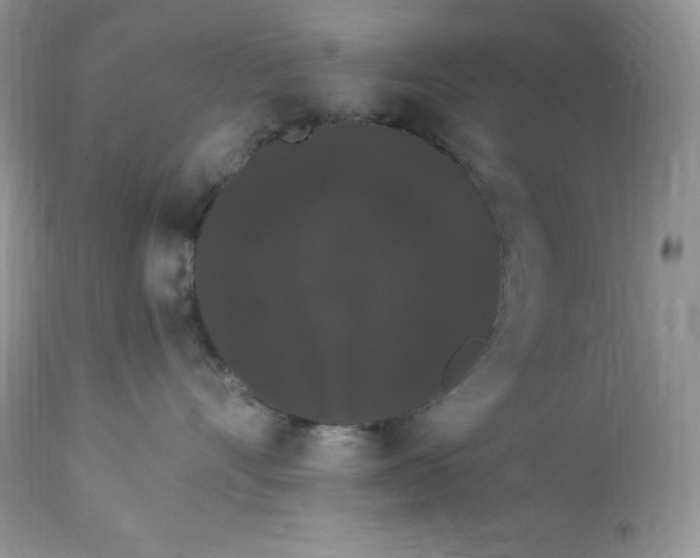 X0000112860528200909111511