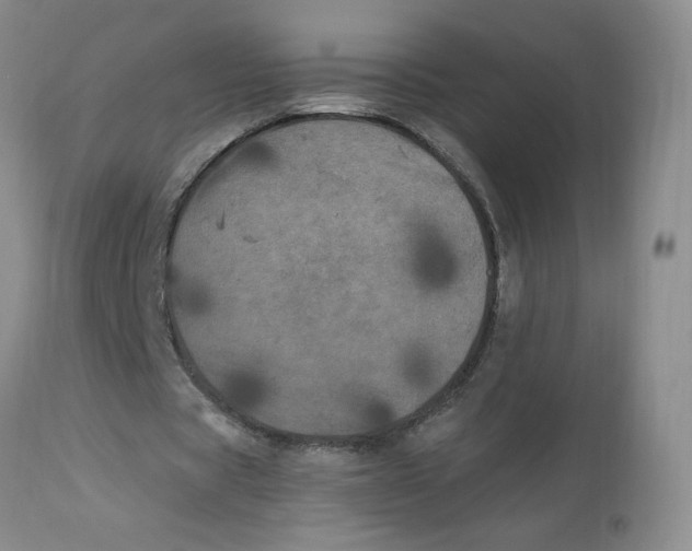 X0000112860529200909111511