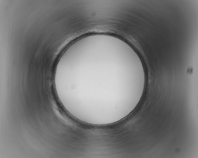 X0000112860530200909111511