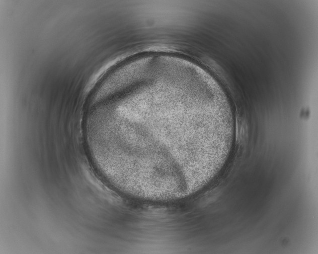 X0000112860531200909111511