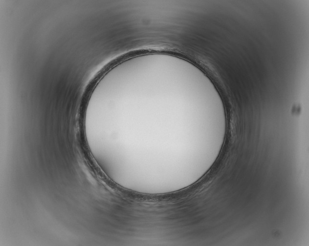 X0000112860532200909111511