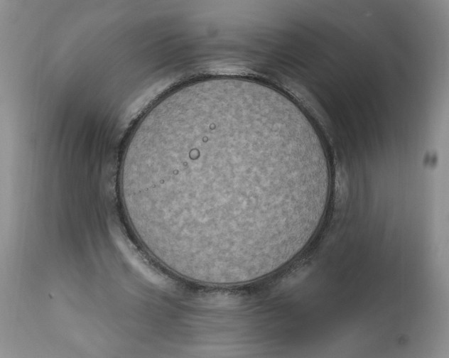 X0000112860533200909111511