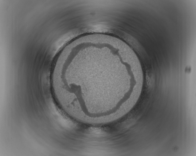 X0000112860534200909111511