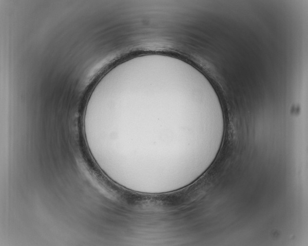 X0000112860535200909111511