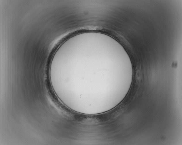 X0000112860536200909111511