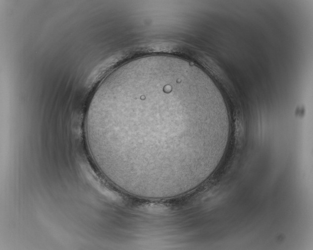 X0000112860537200909111511