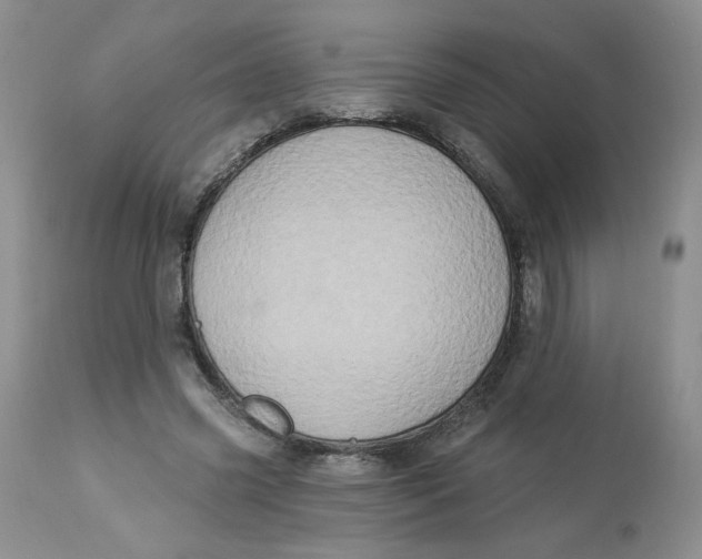 X0000112860541200909111511