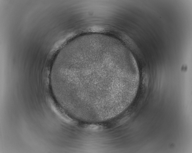 X0000112860542200909111511