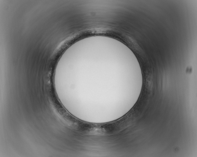 X0000112860543200909111511