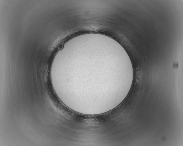 X0000112860544200909111511