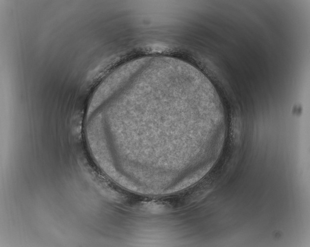 X0000112860545200909111511