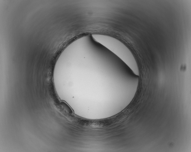 X0000112860546200909111511