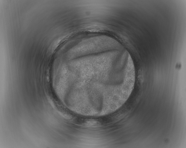 X0000112860547200909111511