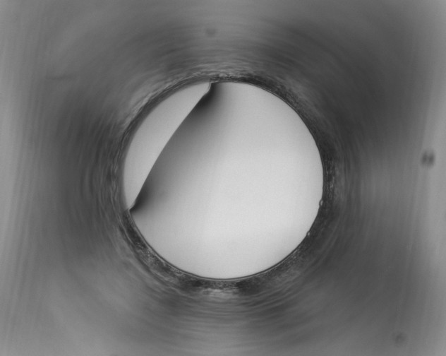 X0000112860548200909111511