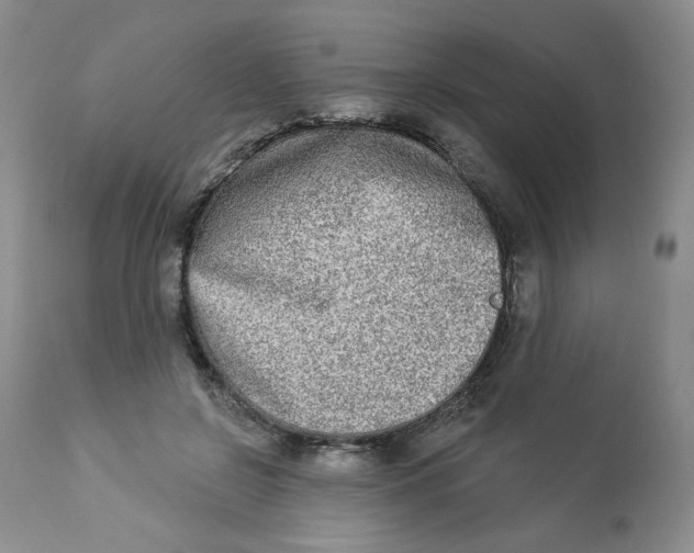 X0000112860550200909111511