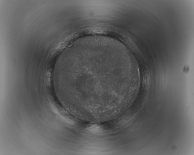 X0000112860551200909111511