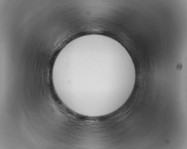 X0000112860552200909111511