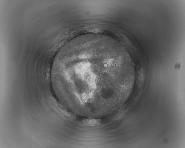 X0000112860553200909111511