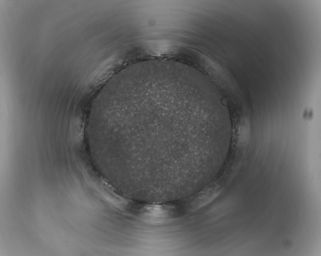 X0000112860558200909111511