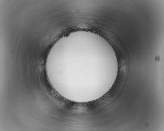 X0000112860559200909111511