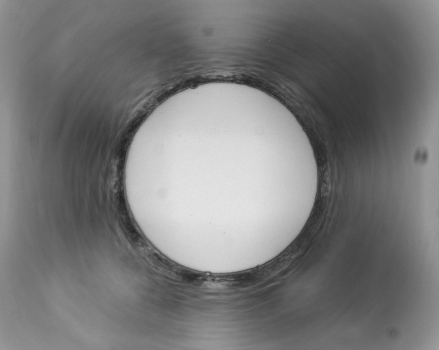 X0000112860560200909111511