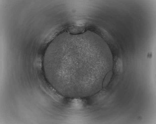 X0000112860562200909111511