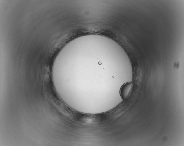 X0000112860563200909111511