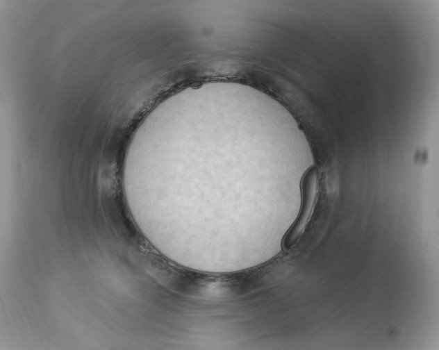 X0000112860564200909111511