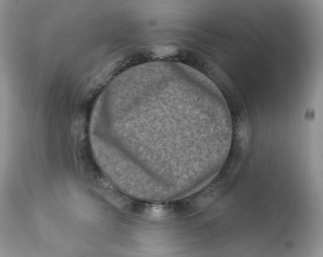 X0000112860565200909111511