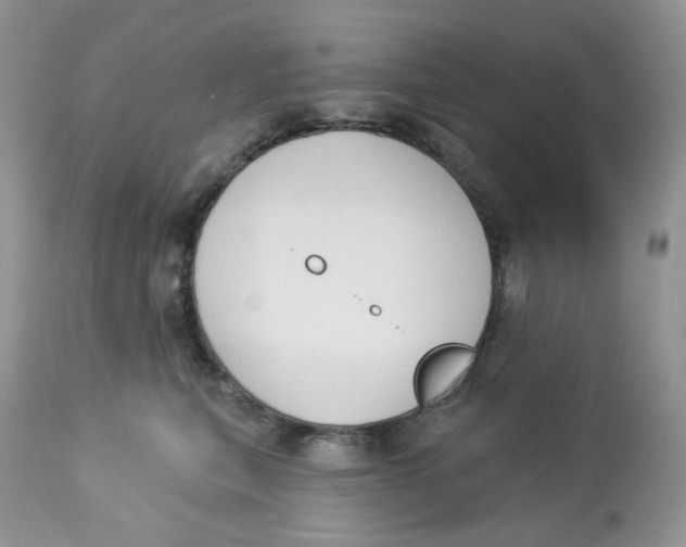 X0000112860567200909111511