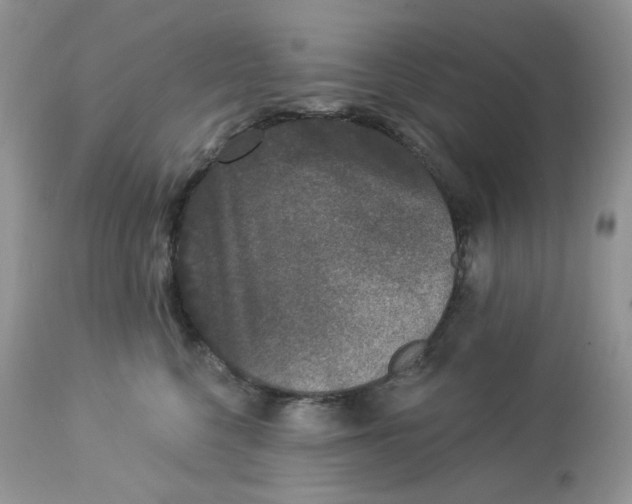 X0000112860568200909111511