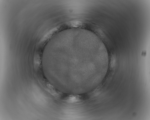 X0000112860569200909111511