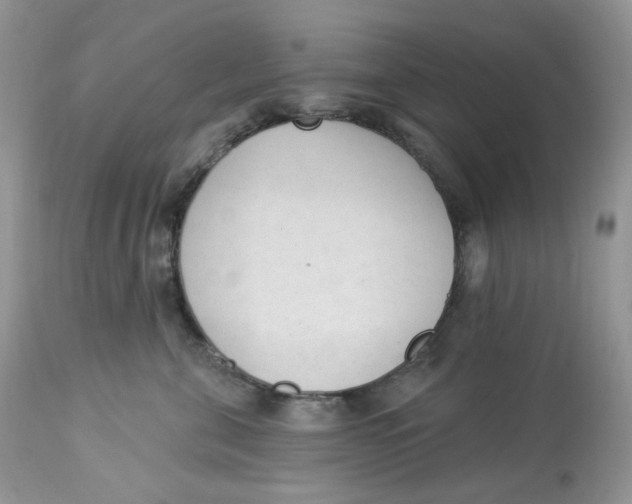 X0000112860571200909111511