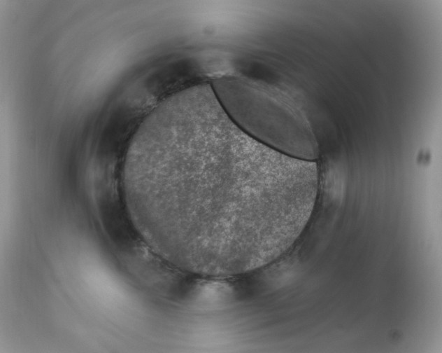 X0000112860572200909111511