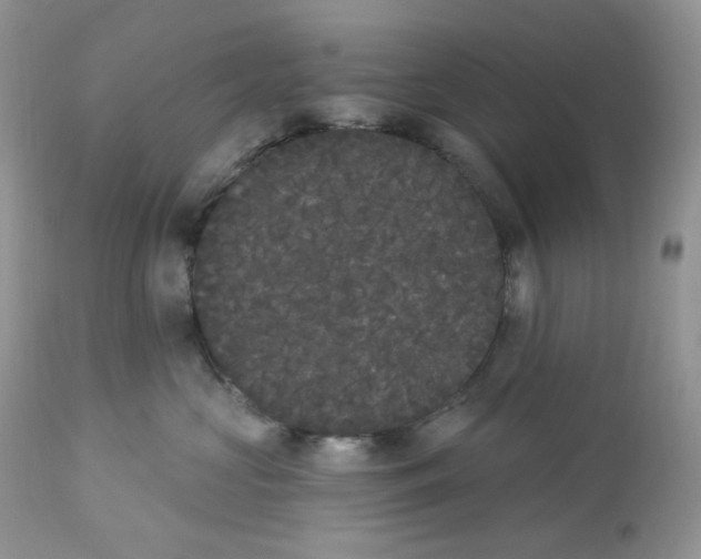 X0000112860573200909111511