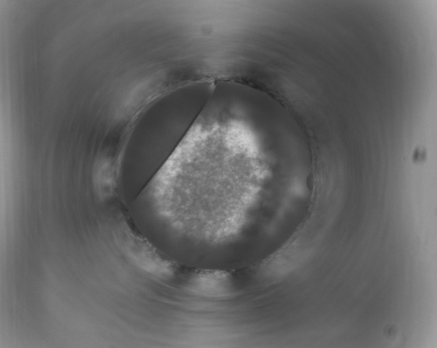 X0000112860576200909111511