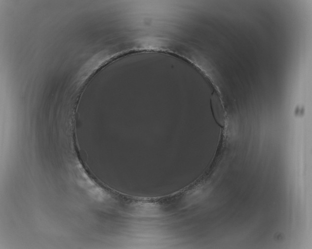 X0000112860577200909111511