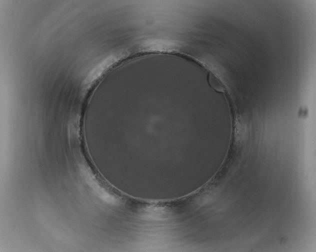 X0000112860581200909111510