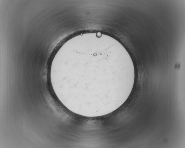 X0000112860584200909111510