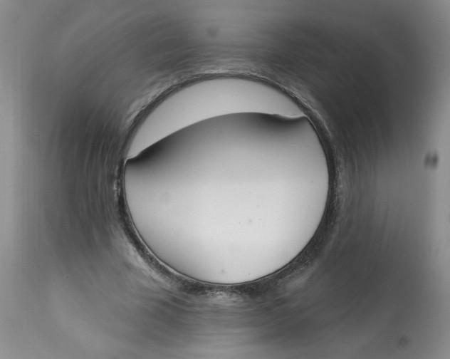 X0000112860585200909111510