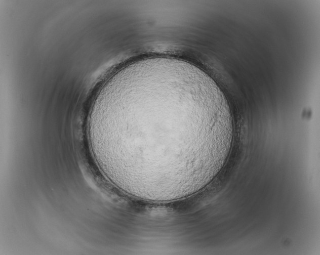 X0000112860587200909111510