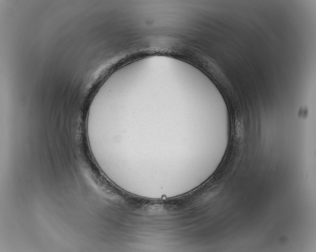 X0000112860588200909111510