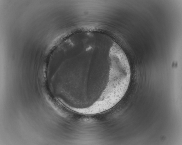 X0000112860590200909111510