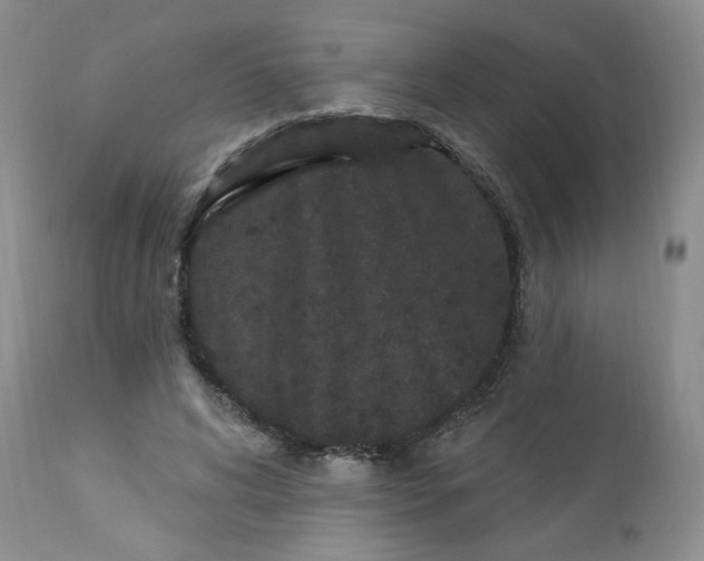 X0000112860592200909111510