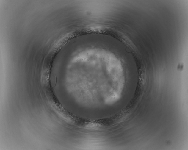 X0000112860593200909111510