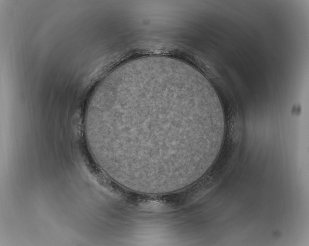 X0000112860594200909111510