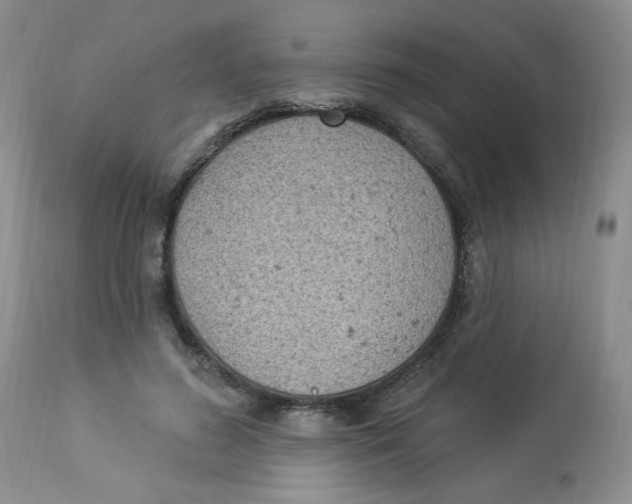 X0000112860596200909111510